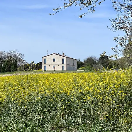 La Collina Sul Mare Διαμέρισμα